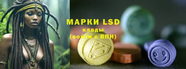 мяу мяу мука Алзамай