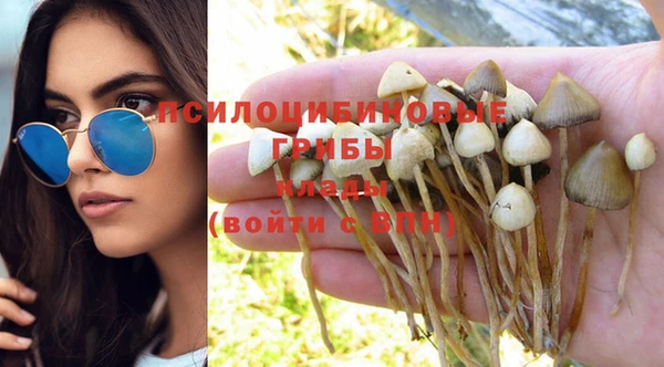 соль курить ск Алексеевка